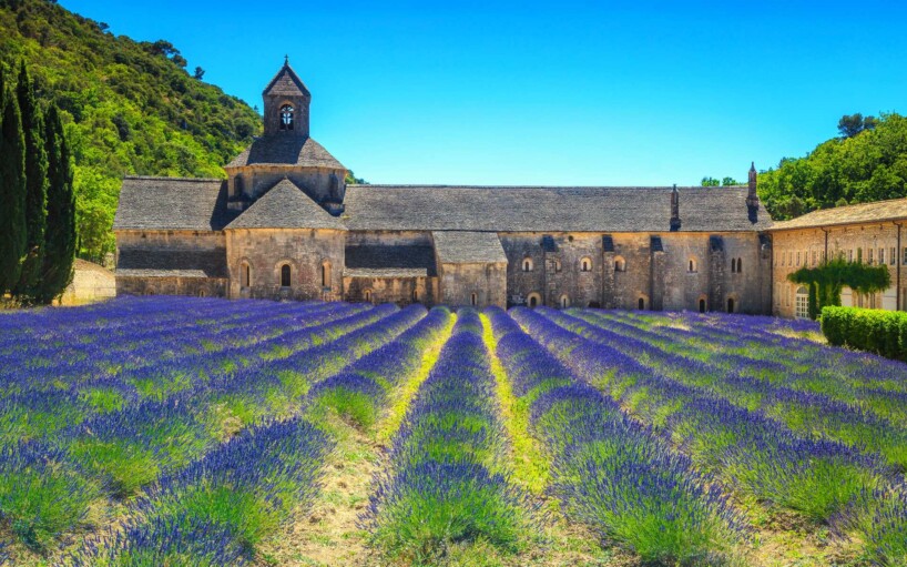 Viatge amb grup Abadia de Senanque
