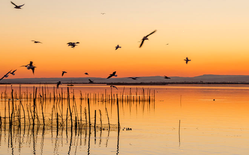 Albufera