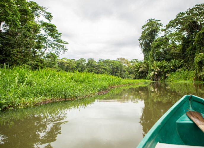 tortuguero viatge en família costa rica