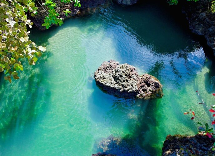 Parc natural Cahuita Viatge en família Costa Rica