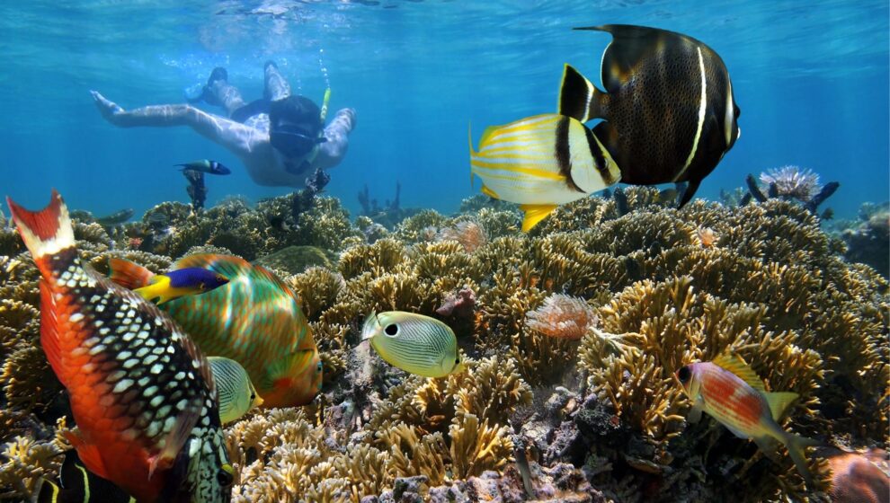 destacat snorkel viatge en família costa rica