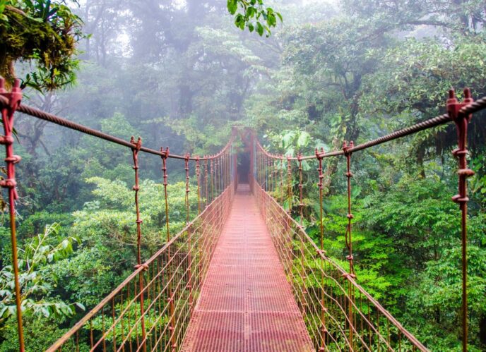 puente en monteverde viatge en família costa rica