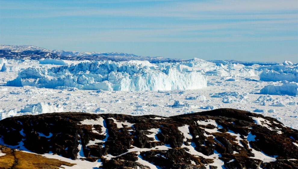 kangia destacat groenlandia en família