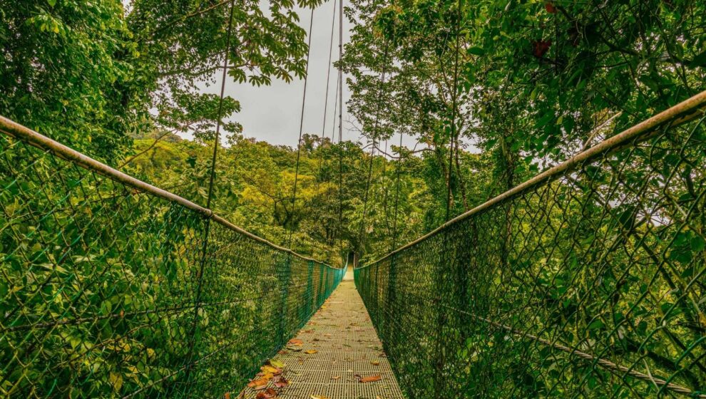 destacat puente arenal viatge en família costa rica