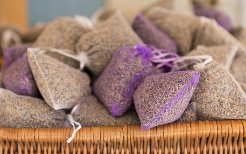 Viatge amb grup a la lavanda Provença