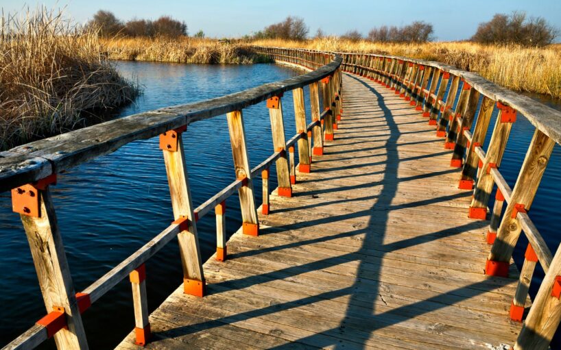 VIATGE AMB GUIA ACOMPANYANT A TABLAS DE DAIMIEL
