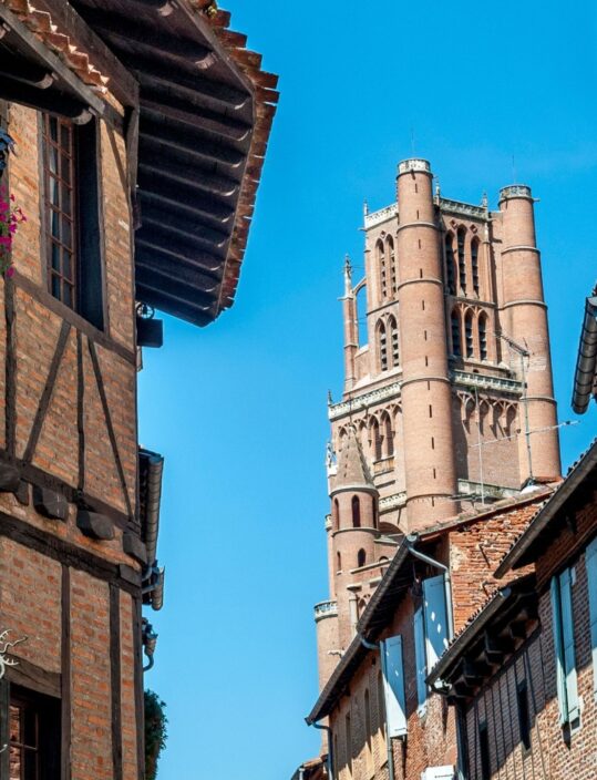 Viatge amb guia acompanyant a Albi i el Tarn