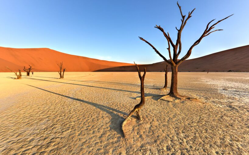 Dead Vlei amb guia acompanyant