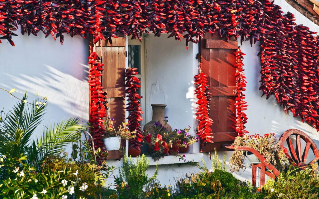 Viaje en grupo al País Vasco Francés y el Pirineo Bearnés