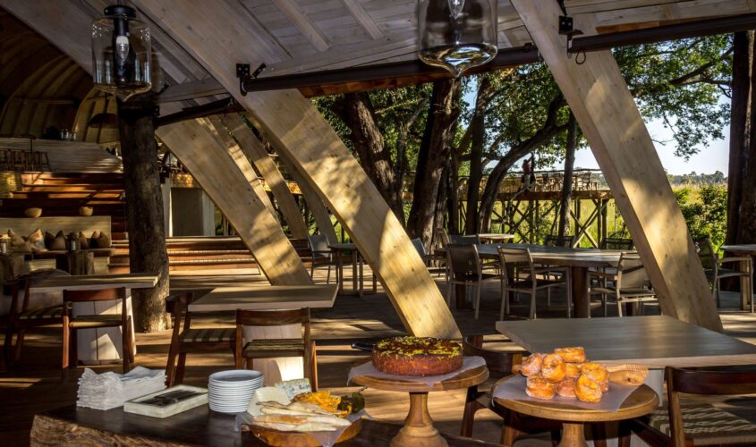 imprescindible alojamiento en un lodge