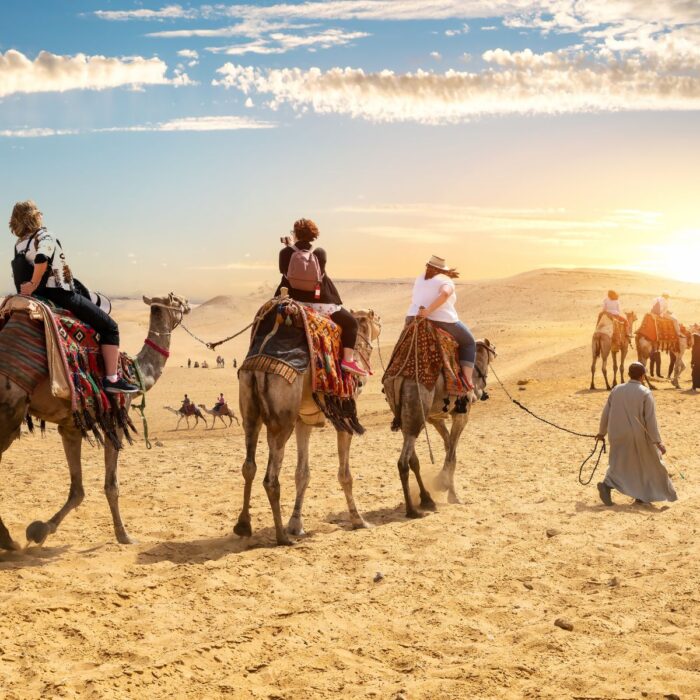 Promoviatges, viatges en grup