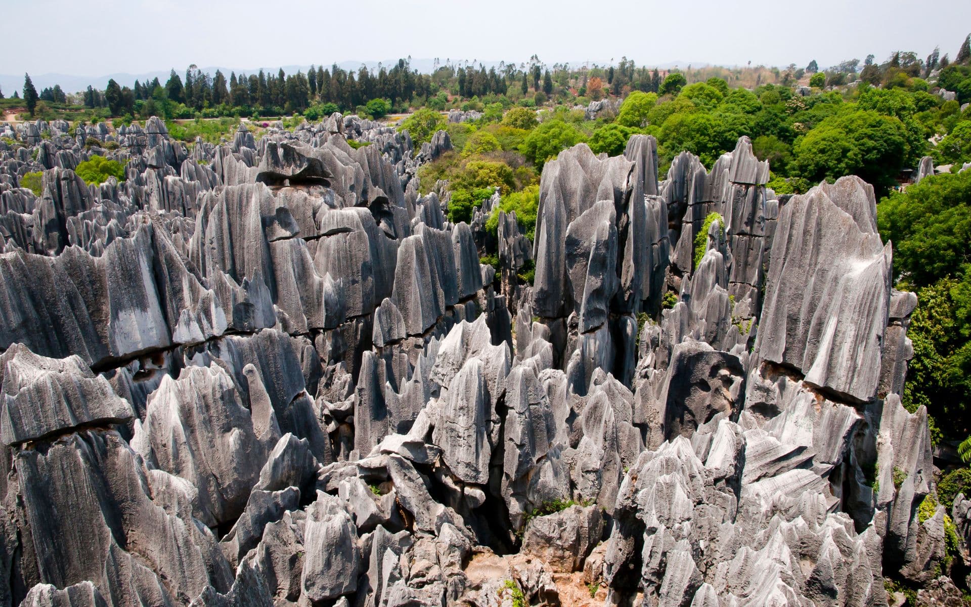 Bosque de piedra en Yunnan