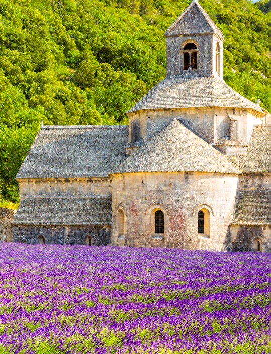 Viatge amb guia acompanyant al Luberon La Provença