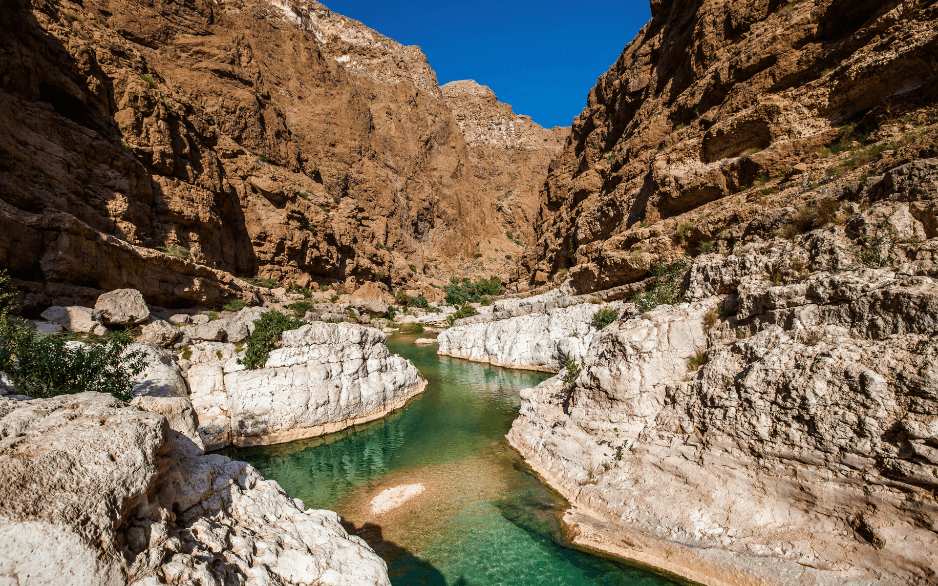 Viatge amb guia acompanyant a wadi shab