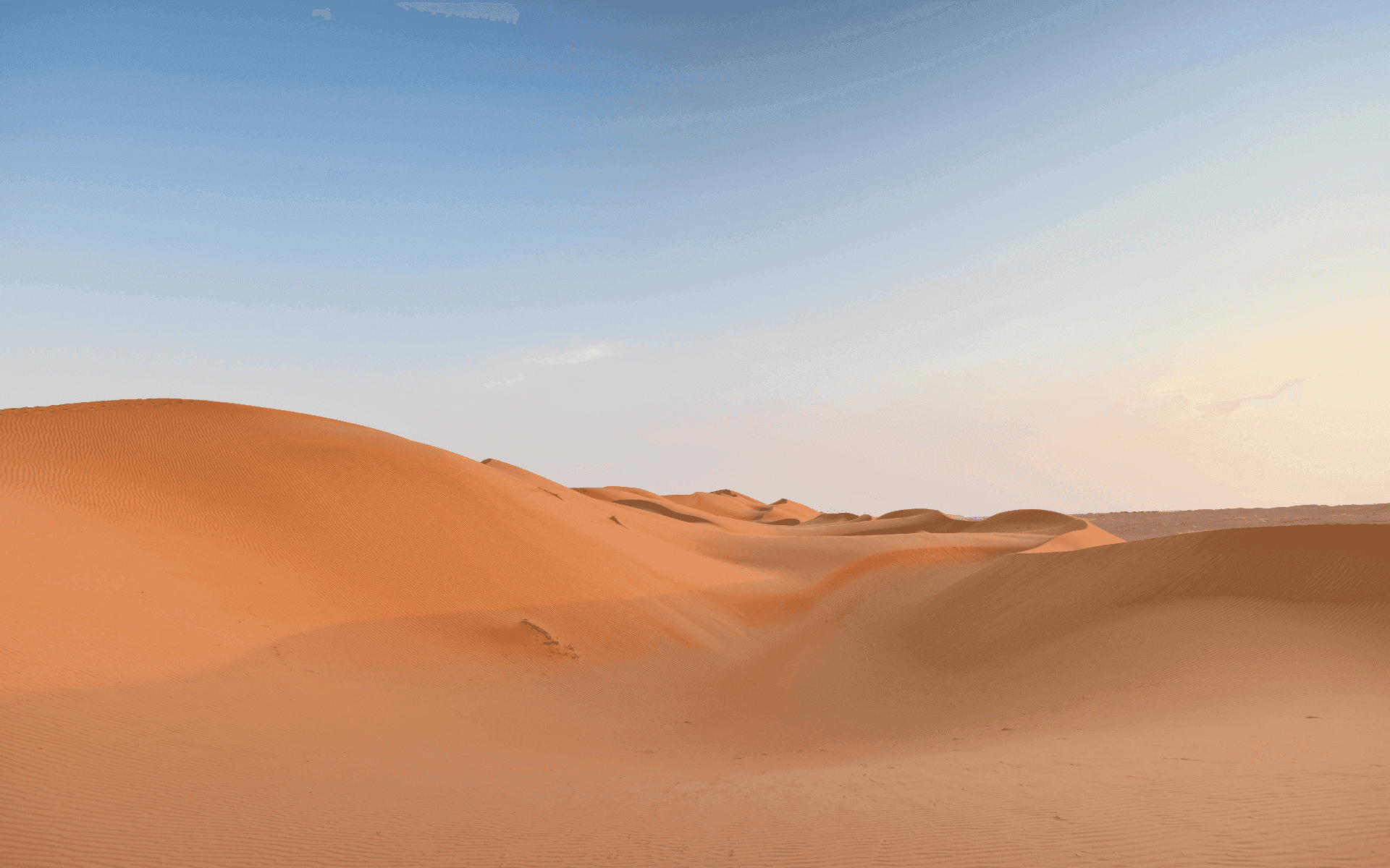 Viatge amb guia acompanyant a wahiba sands